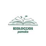 thumbnail 1 removebg preview