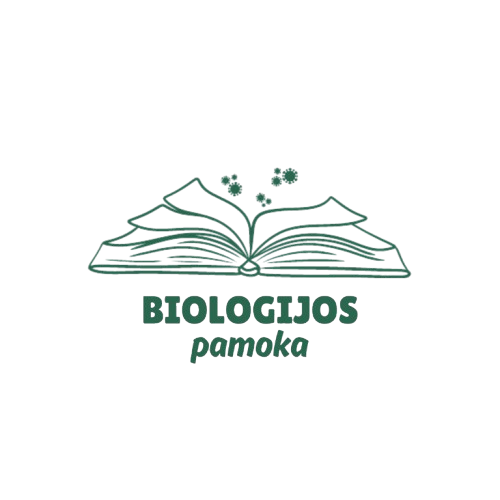 thumbnail 1 removebg preview